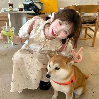 魅力航班